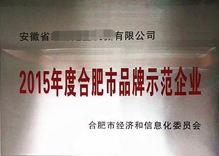 合肥市品牌示范企業(yè)